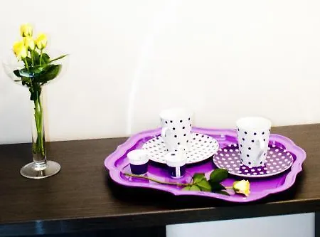 Bed & Breakfast Domus Fontis Rome