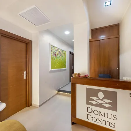 Domus Fontis