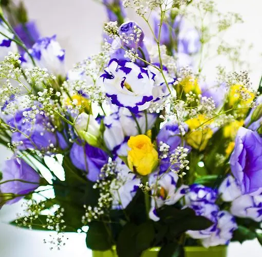 Domus Fontis 4* Róma