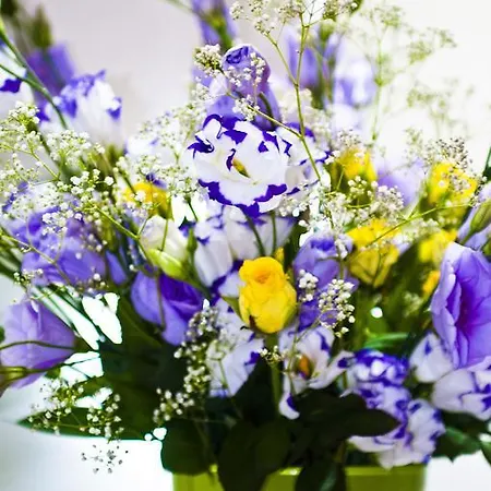 Domus Fontis 4* Ρώμη