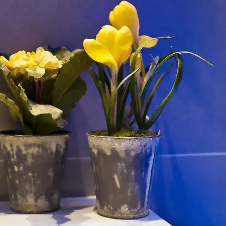 Domus Fontis Bed and Breakfast Ρώμη