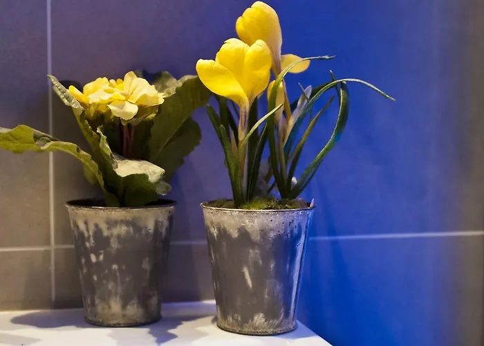 Domus Fontis فندق مبيت وإفطار روما